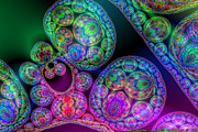 Woolen Spider Eggs Digital Art by Ann Stretton Woolen Spider Eggs Digital Art by Ann Stretton