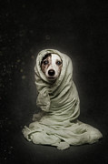 Wrapped Photograph by Heike Willers