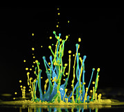 Yellow And Blue Splashes Photograph by Science Photo Library
