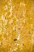 Yellow Wall of Aruba II Photograph by David Letts