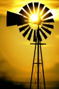 Yellow Wind Photograph by Jerry McElroy Yellow Wind Photograph by Jerry McElroy