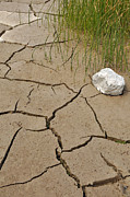 Yellowstone Mud Art Photograph by Bruce Gourley