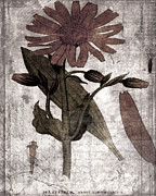 Yesterday's Garden Digital Art by Bonnie Bruno