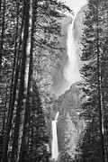 Yosemite Falls Black and White Photograph by Bruce Gourley