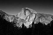 Yosemite Half Dome in Black and White Photograph by Mel Ashar