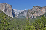 Yosemite Valley Photograph by Bill Singleton