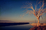 Your One and Only Photograph by Laurie Search Your One and Only Photograph by Laurie Search