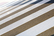 Zebra Crossing Photograph by Science Photo Library