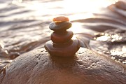 Zen Photograph by Kerri Mortenson
