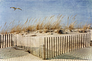 Zig Zag Beach Photograph by Cathy Kovarik