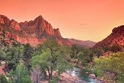 Zion National Park Photograph by Michele Falzone