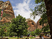 Zion Picnics Photograph by Brenda Kean