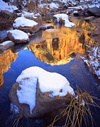 Zion Pool Photograph by Ray Mathis