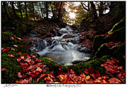  Falls in the fall Photograph by B Cash