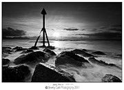  Standing Strong Photograph by B Cash