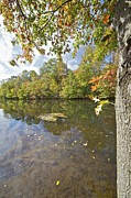 Autumn Colors on the Canal #1 Photograph by David Letts