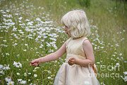 Girl In Field Of Daisies #1 Photograph by Mark Taylor Girl In Field Of Daisies #1 Photograph by Mark Taylor