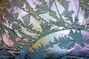 Glass Designs #1 Photograph by Todd Blanchard