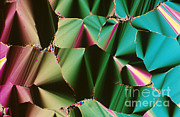 Liquid Crystalline Dna #1 Photograph by Michael W. Davidson
