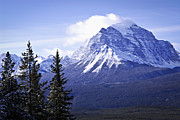 Mountain landscape Photograph by Elena Elisseeva