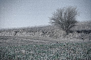 Solitude #1 Photograph by Bonnie Bruno