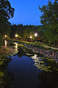 Water reflection #1 Photograph by Dejan Jovanovic Water reflection #1 Photograph by Dejan Jovanovic