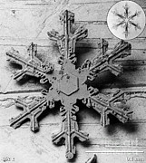 Snow Crystal #10 Photograph by Science Source