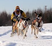 2011 Limited North American Sled Dog Race #1 Photograph by Gary Whitton