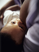 Baby Boy Breastfeeding #2 Photograph by Science Photo Library