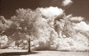 Park Place Photograph by Jean Wolfrum