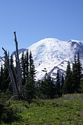 Mt. Rainier #2 Photograph by Jerry Cahill