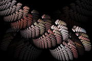 Woven #2 Digital Art by Bonnie Bruno