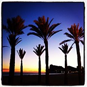 Instagram Photo #21343218756 Photograph by Almar.e 🇪🇸