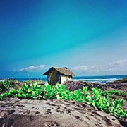This Photo Is Available In My #22 Photograph by Tommy Tjahjono