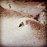 Instagram Photo #31342602248 Photograph by Tommy Tjahjono