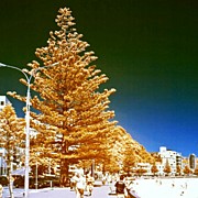Instagram Photo #361343273881 Photograph by Tommy Tjahjono