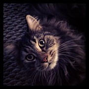 Instagram Photo #381340392148 Photograph by Dave Edens