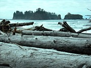 Rialto Beach La Push #4 Photograph by Kelly Manning