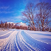 Instagram Photo #551342506205 Photograph by Tommy Tjahjono