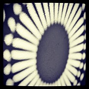 Instagram Photo #661342146091 Photograph by U Schade