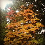 Instagram Photo #891348784021 Photograph by Kln Sink