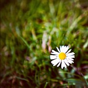 Instagram Photo #921342603060 Photograph by Tommy Tjahjono