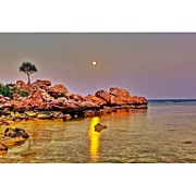 Instagram Photo #941353401256 Photograph by Tommy Tjahjono