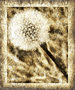A Dandy Glow Photograph by Andee Design
