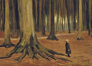 A Girl in a Wood, 1882 by Vincent van Gogh Painting by Vincent van Gogh A Girl in a Wood, 1882 by Vincent van Gogh Painting by Vincent van Gogh