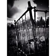 Abandoned Crib Photograph by Natasha Marco