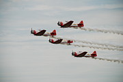 Aeroshell Team Photograph by Amanda Jones