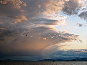 Ahead of the Curve Photograph by Mike Reilly