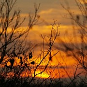 Another Texas Sunset Photograph by James Granberry