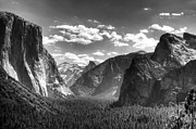 Ansel Adams Tribute Photograph by Francesco Riccardo Iacomino
